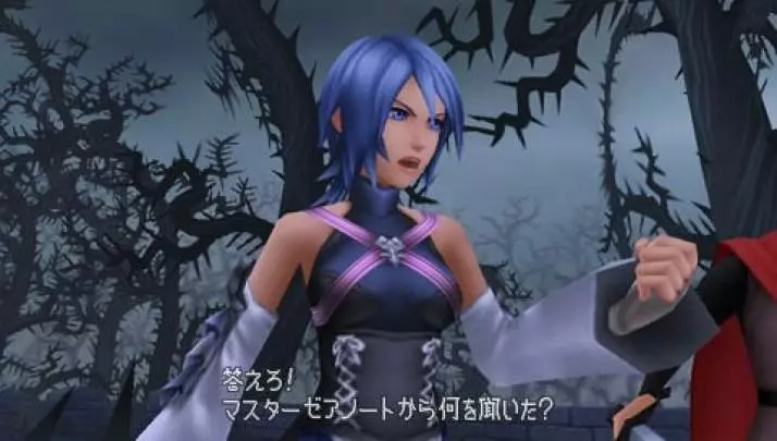 Kingdom Hearts: Birth by Sleep