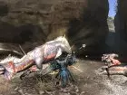 Monster Hunter 3