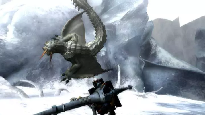 Monster Hunter 3 - Wii