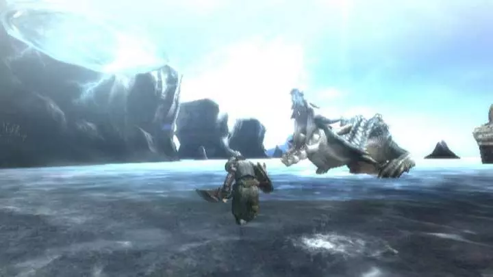 Monster Hunter 3 - Wii