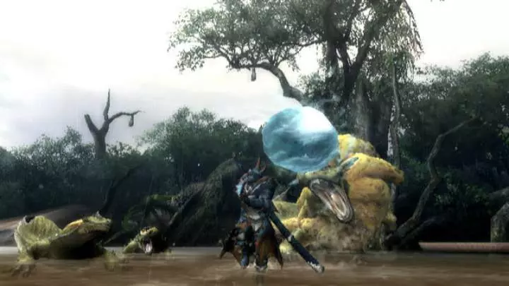 Monster Hunter 3 - Wii