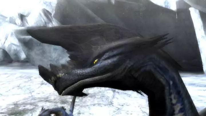 Monster Hunter 3 - Wii