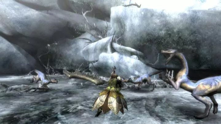 Monster Hunter 3 - Wii