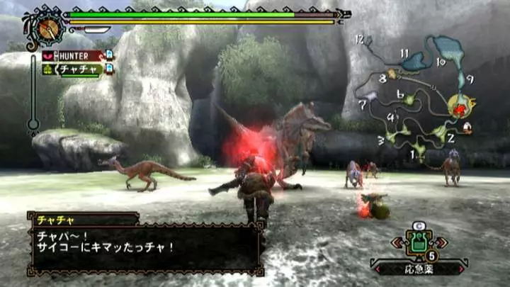 Monster Hunter 3 - Wii