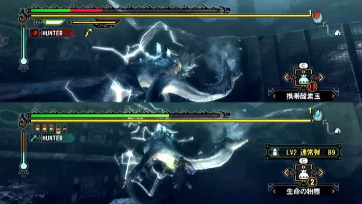 Monster Hunter 3 - Wii