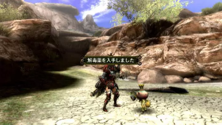 Monster Hunter 3 - Wii