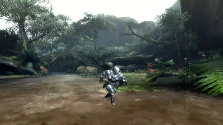 Monster Hunter 3 - Wii