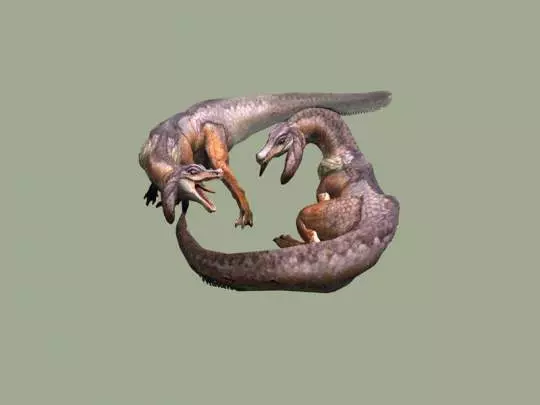 Monster Hunter 3 - Wii