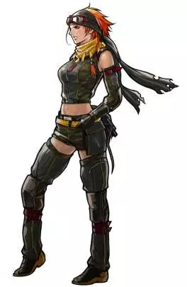 Advance Wars Days of Ruin - DS