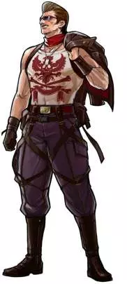 Advance Wars Days of Ruin - DS