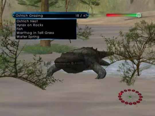 Wild Earth African Safari