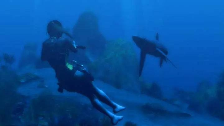 Tomb Raider Underworld