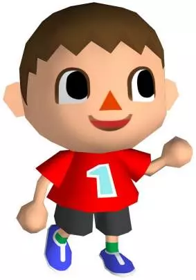 Animal Crossing Wii - Wii