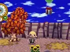 Animal Crossing Wii - Imagen