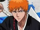 Bleach Heat The Soul 5