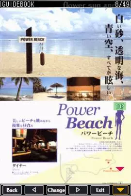 Flower, Sun and Rain