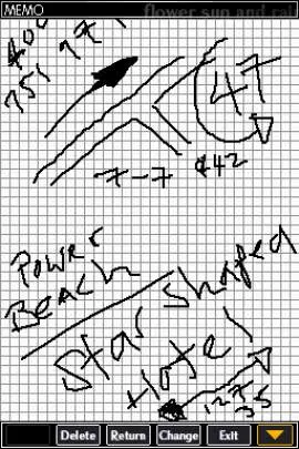 Flower, Sun and Rain - DS