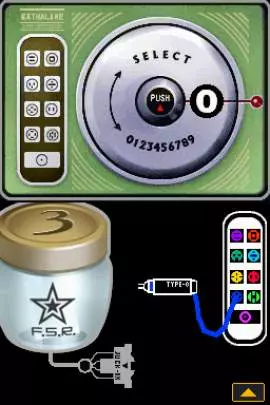 Flower, Sun and Rain - DS