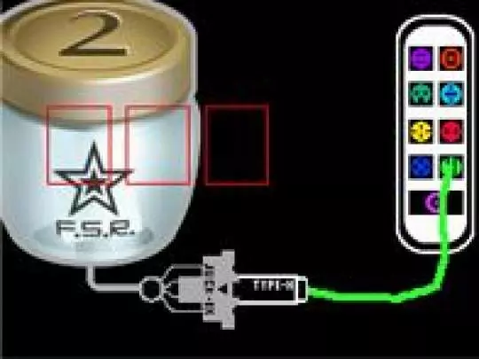 Flower, Sun and Rain