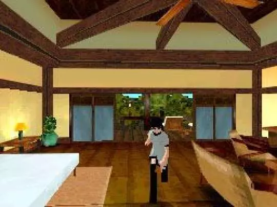 Flower, Sun and Rain