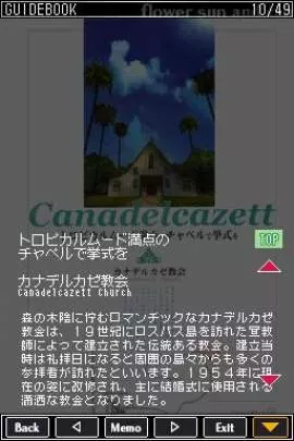 Flower, Sun and Rain