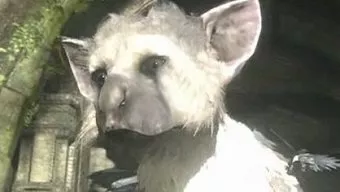 Sony no ha llevado The Last Guardian al E3 porque "no era el momento adecuado"