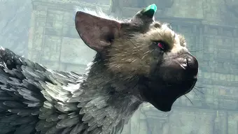 The Last Guardian irá a 60 fps en PS5, pero solo en su versión física sin parchear
