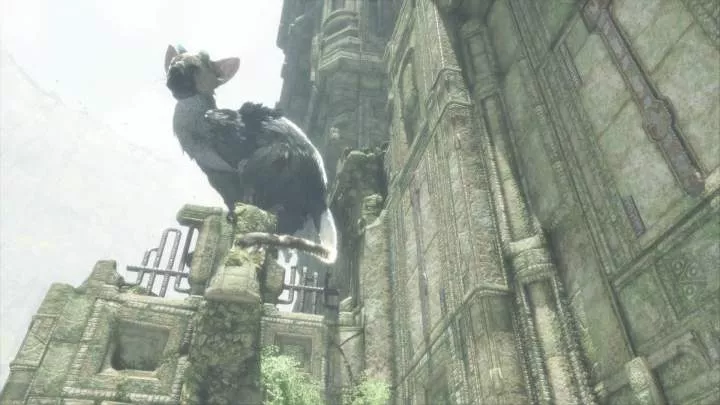 The Last Guardian