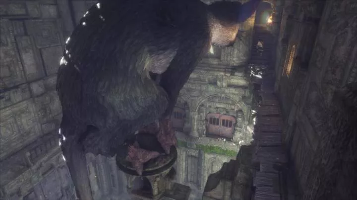The Last Guardian