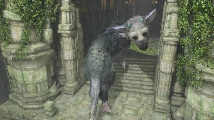 The Last Guardian