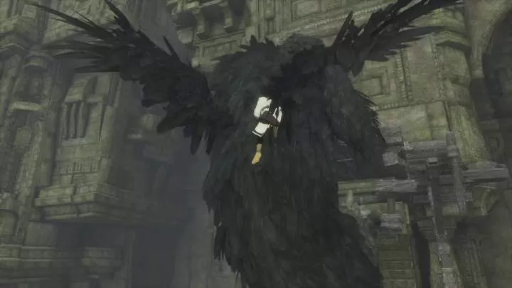 The Last Guardian