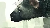 The Last Guardian: Vídeo Impresiones E3 2016 - 3DJuegos