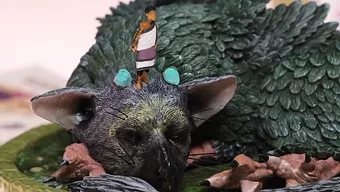 The Last Guardian: Collector's Edition: Unboxing