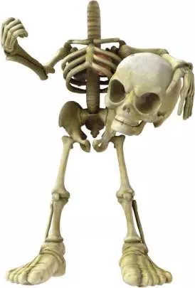 Pirates vs Ninjas Dodgeball