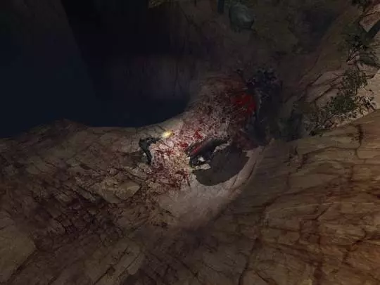 Shadowgrounds Survivor