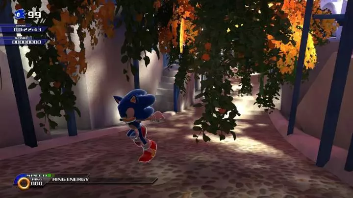Sonic Unleashed