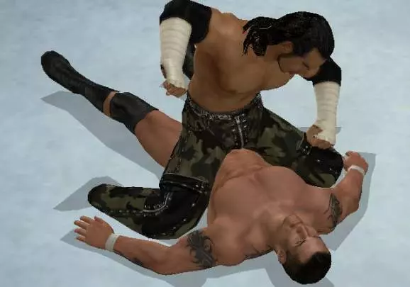 WWE SmackDown vs. Raw 2009
