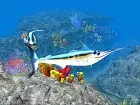 Sea Life Safari - Imagen