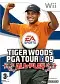 Tiger Woods PGA TOUR 09