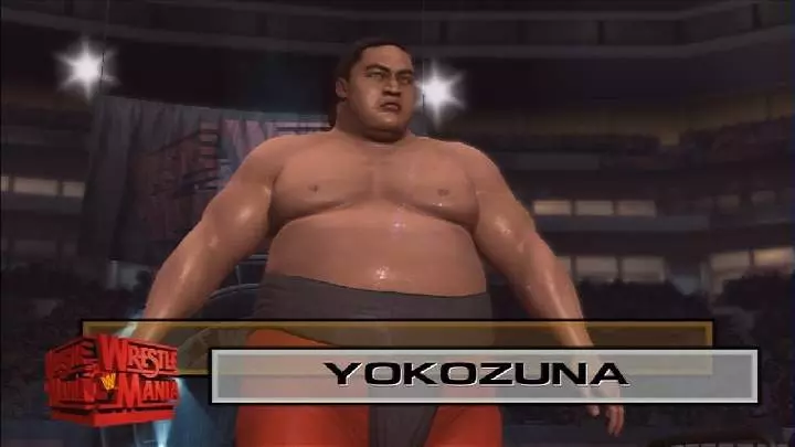 WWE Legends of WrestleMania