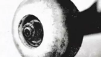 Skate 2 rueda sus primeros detalles