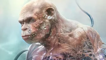 Pese a la ausencia de Beyond Good & Evil 2, en Ubisoft Montpellier parecen estar trabajando en otro juego