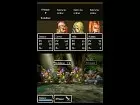 Dragon Quest VI - Imagen DS