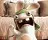 Rayman Raving Rabbids TV Party