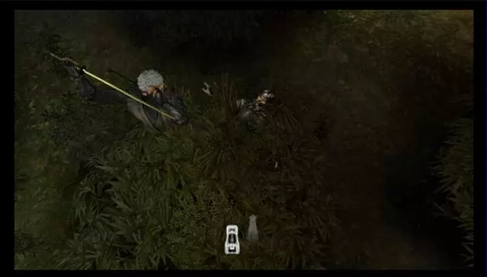 Tenchu Shadow Assassins