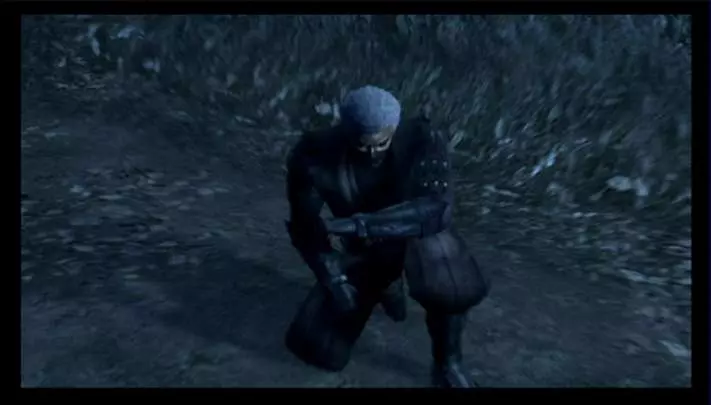Tenchu Shadow Assassins