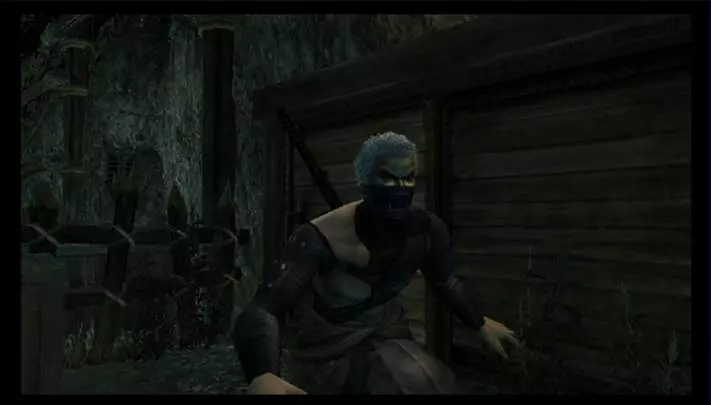 Tenchu Shadow Assassins