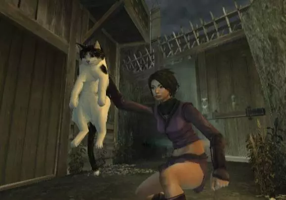 Tenchu Shadow Assassins