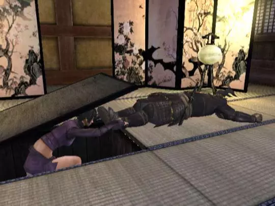 Tenchu Shadow Assassins