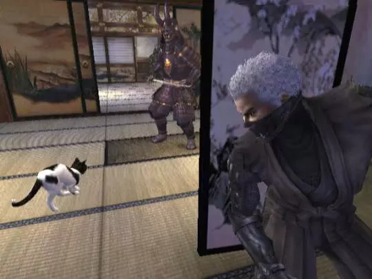 Tenchu: Shadow Assassins